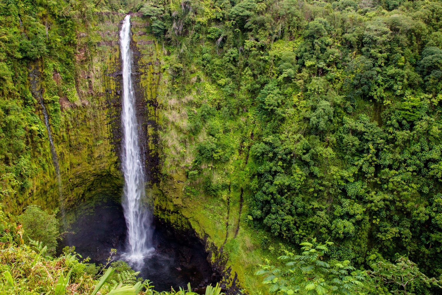 Akaka Falls State Park | Volcano Tours