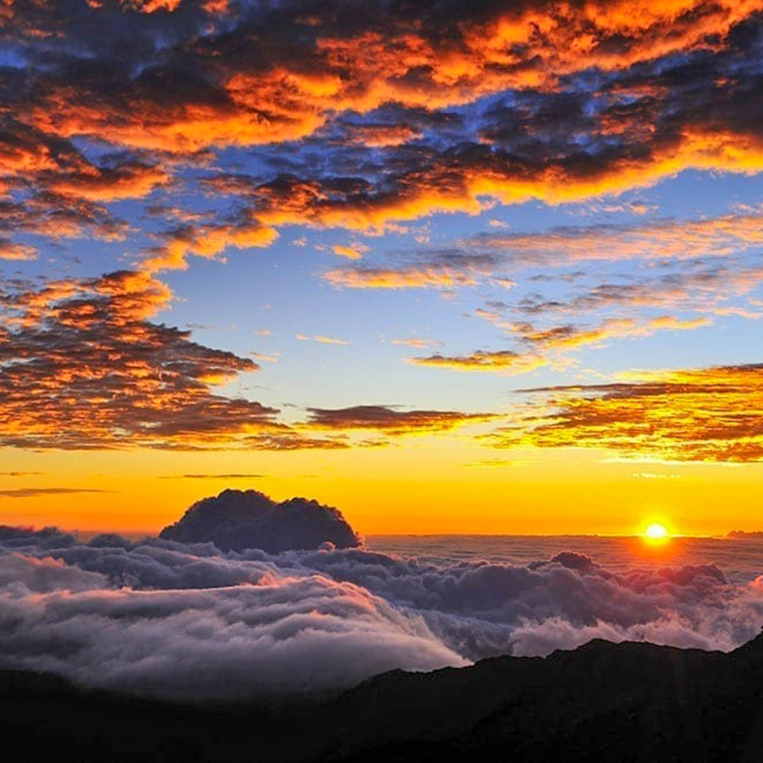 maui haleakala sunrise bike tour