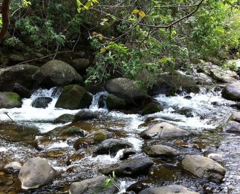 Maui Iao Valley Stream