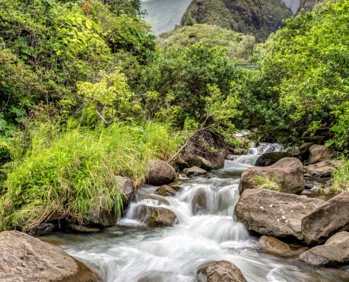 Iao Valley on the island of Maui Shutterstock