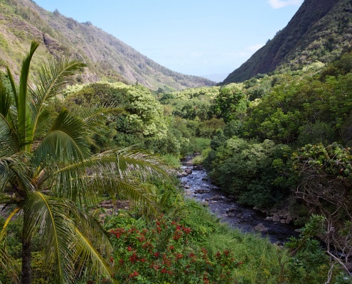 Maui's Iao Valley