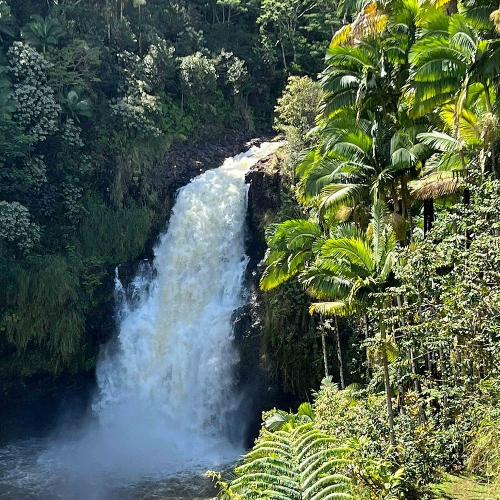 27 BEST Things to Do in Hilo (Beaches, Waterfalls, Farm Tours, +)