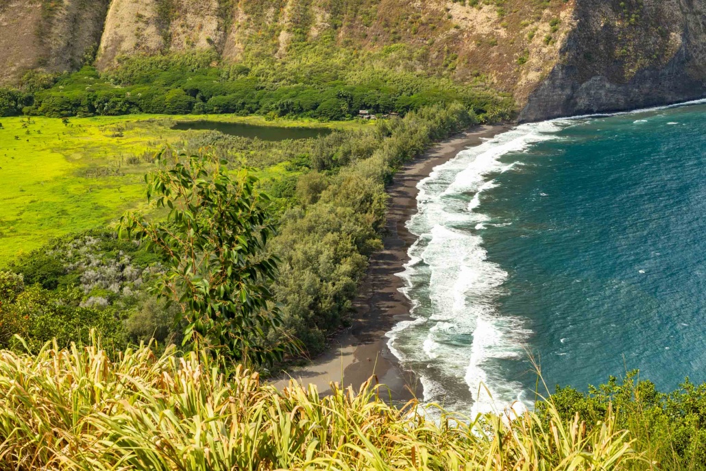 The Big Island meets the Valley