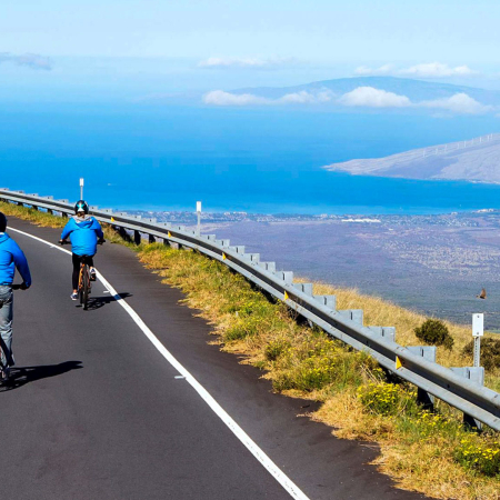 Haleakala Summit & Downhill Bike